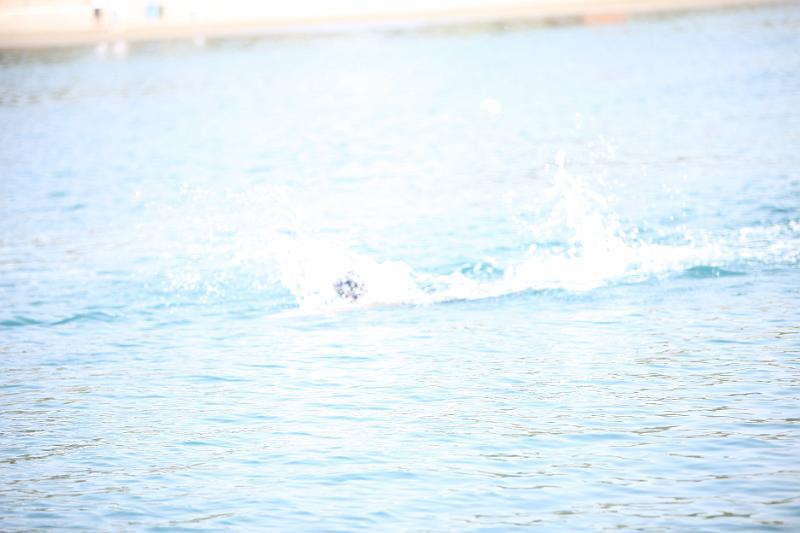 Comen Cup 2009 485.jpg